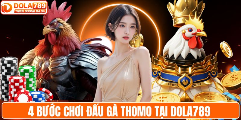4 bước chơi đấu gà Thomo tại DOLA789