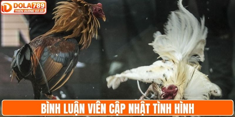 Bình luận viên tiếng Việt cập nhật tình hình tranh tài