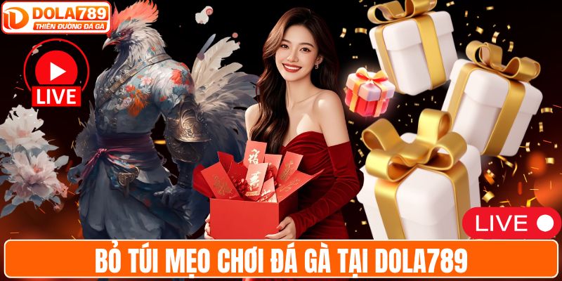 Bỏ túi mẹo chơi đá gà tại DOLA789