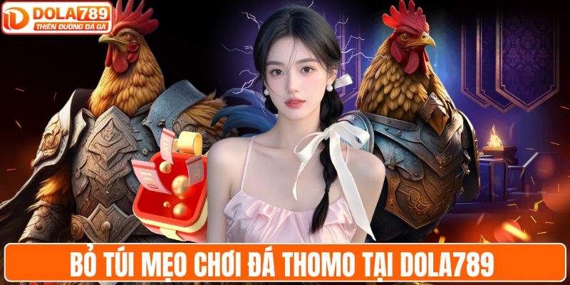 Bỏ túi mẹo chơi đá Thomo tại DOLA789