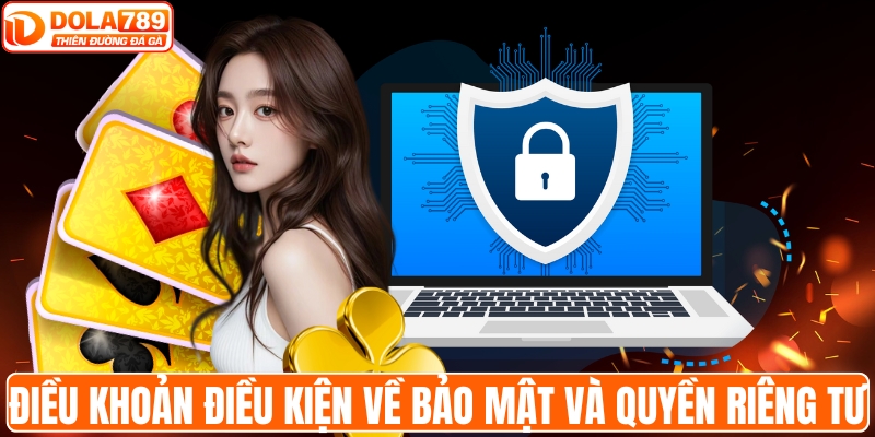 Các điều khoản điều kiện về bảo mật và quyền riêng tư