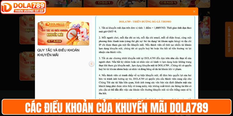 Các điều khoản quan trọng của khuyến mãi DOLA789