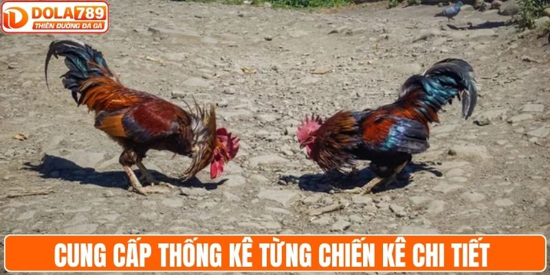 Cung cấp thống kê từng chiến kê chi tiết và rõ ràng