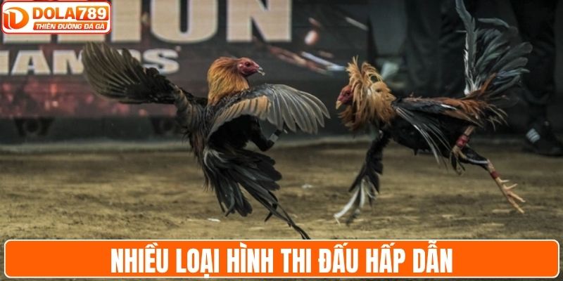 Đa dạng bộ môn hot mà bạn không thể bỏ qua