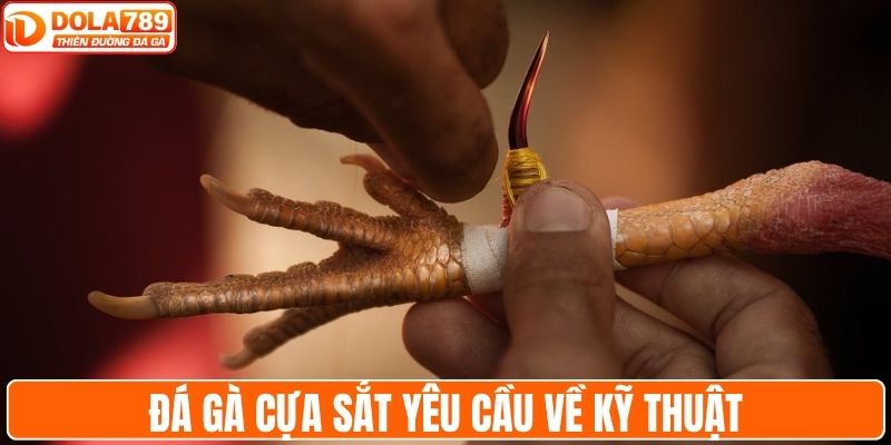 Đá gà cựa sắt yêu cầu nhiều về kỹ thuật