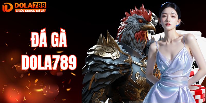 Đá Gà DOLA789 - Bùng Nổ Cảm Xúc Và Khát Khao Chiến Thắng