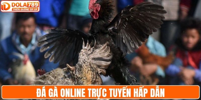 Đá gà online trực tuyến - Những trận đấu hấp dẫn