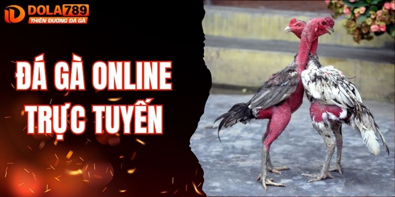 đá gà online trực tuyến