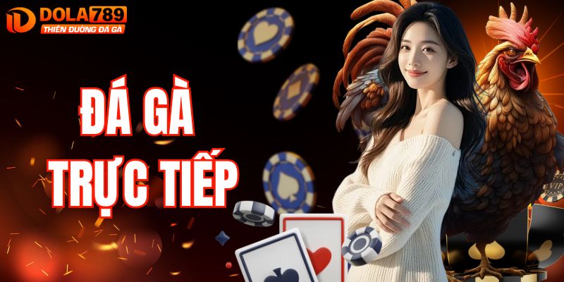 Đá Gà Trực Tiếp - Khám Phá Các Trận Đấu Gay Cấn Tại DOLA789