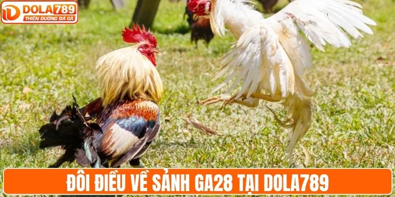 Đôi điều về sảnh GA28 tại DOLA789