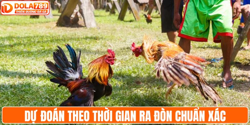 Dự đoán theo thời gian ra đòn chuẩn xác