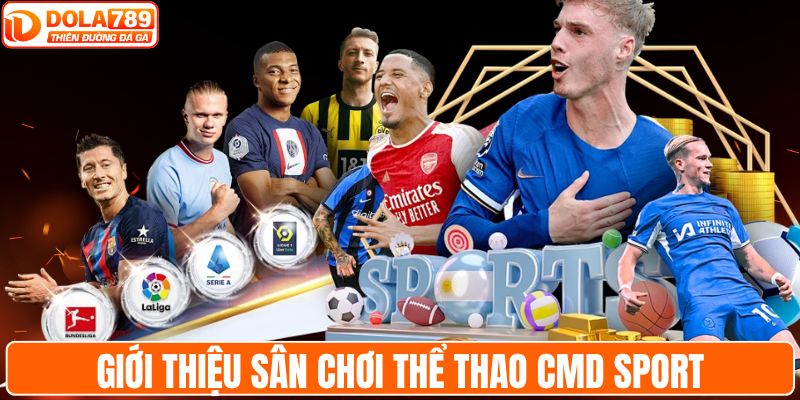 Giới thiệu sân chơi thể thao CMD Sport