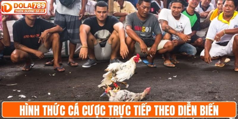 Hình thức cá cược trực tiếp theo diễn biến trên sới
