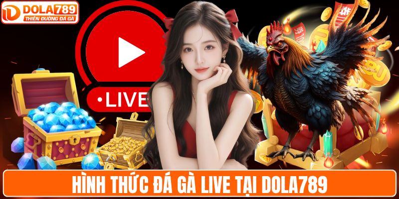 Hình thức đá gà live tại DOLA789