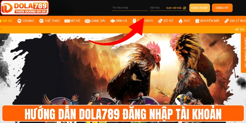 Hướng dẫn DOLA789 đăng nhập tài khoản