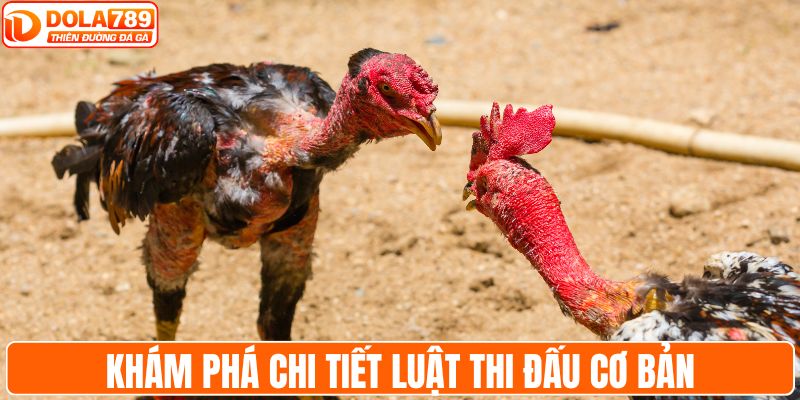 Khám phá chi tiết luật thi đấu cơ bản