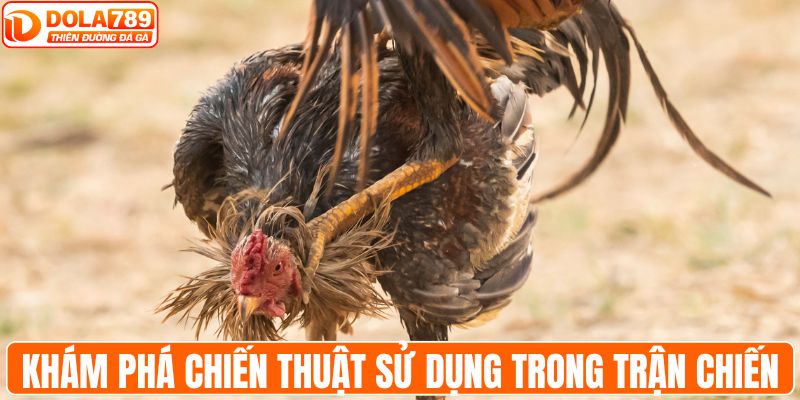 Khám phá chiến thuật sử dụng trong trận chiến