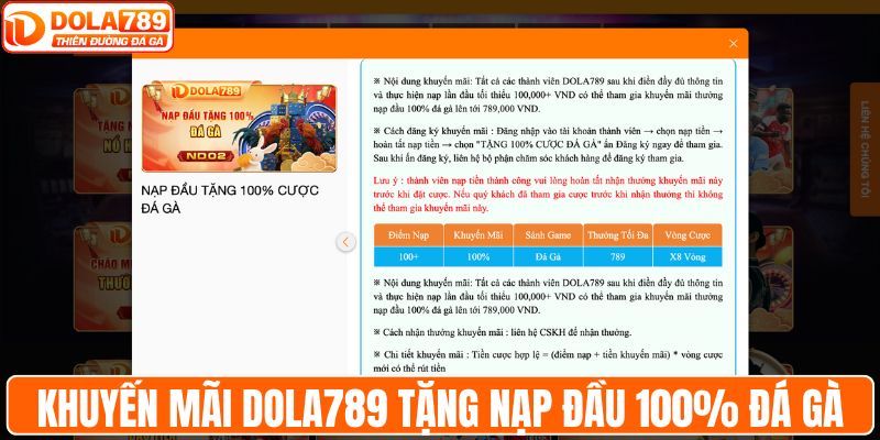 Khuyến mãi DOLA789 tặng nạp đầu 100% đá gà