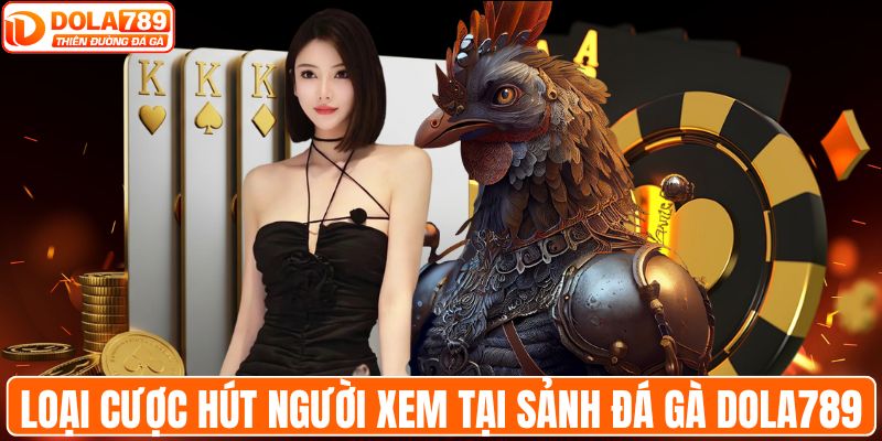 Loại cược hút người xem nhất tại sảnh đá gà DOLA789