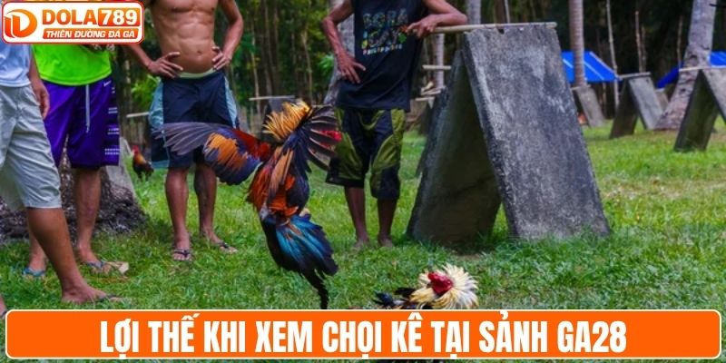 Lợi thế khi xem chọi kê tại sảnh GA28