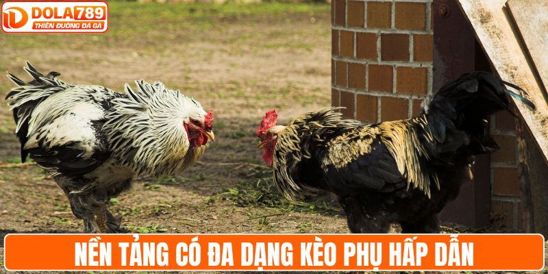 Nền tảng có đa dạng kèo phụ hấp dẫn