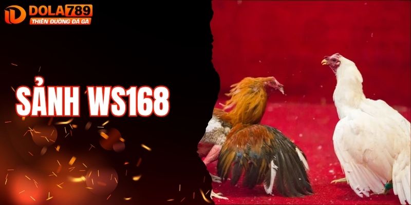 Trải Nghiệm Cá Cược Đá Gà Tại Sảnh WS168 Cực Đa Dạng