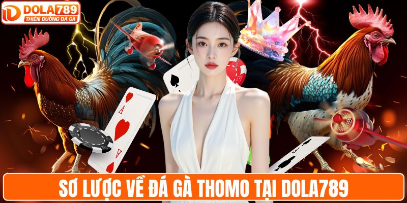 Sơ lược về đá gà Thomo tại DOLA789