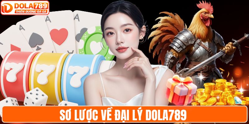 Sơ lược về đại lý DOLA789