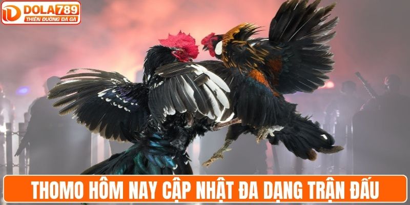 Thomo hôm nay cập nhật đa dạng trận đấu mỗi ngày