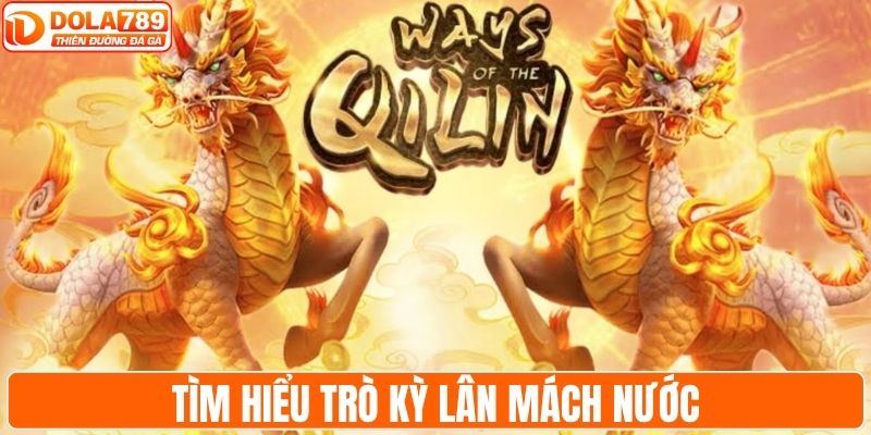 Tìm hiểu tính năng vòng quay may mắn