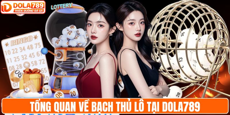 Tổng quan về bạch thủ lô tại DOLA789