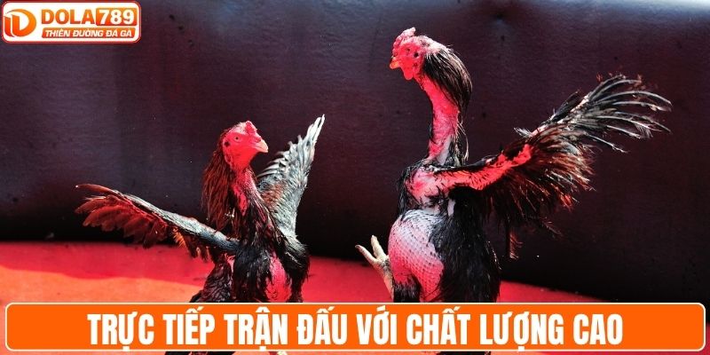 Trực tiếp trận đấu với chất lượng cao hàng đầu