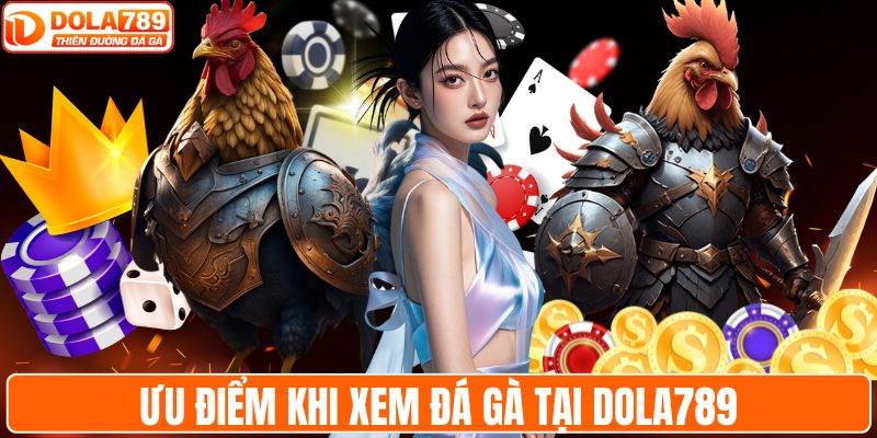 Ưu điểm khi xem đá gà tại DOLA789