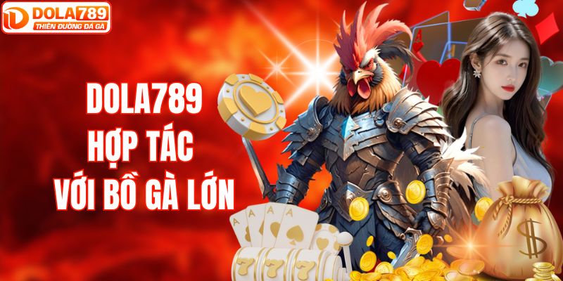 DOLA789 hợp tác với 3 bồ gà lớn