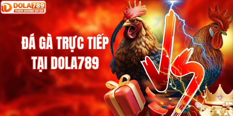 Đá gà trực tiếp nhận hoàn trả 0.8%